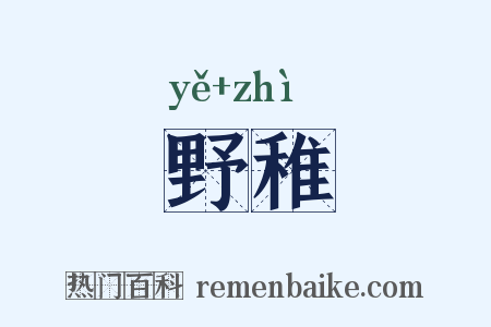 野稚是什么意思的图片